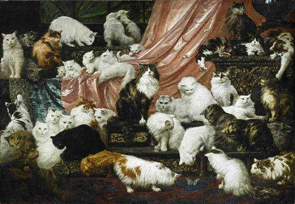 CATS!