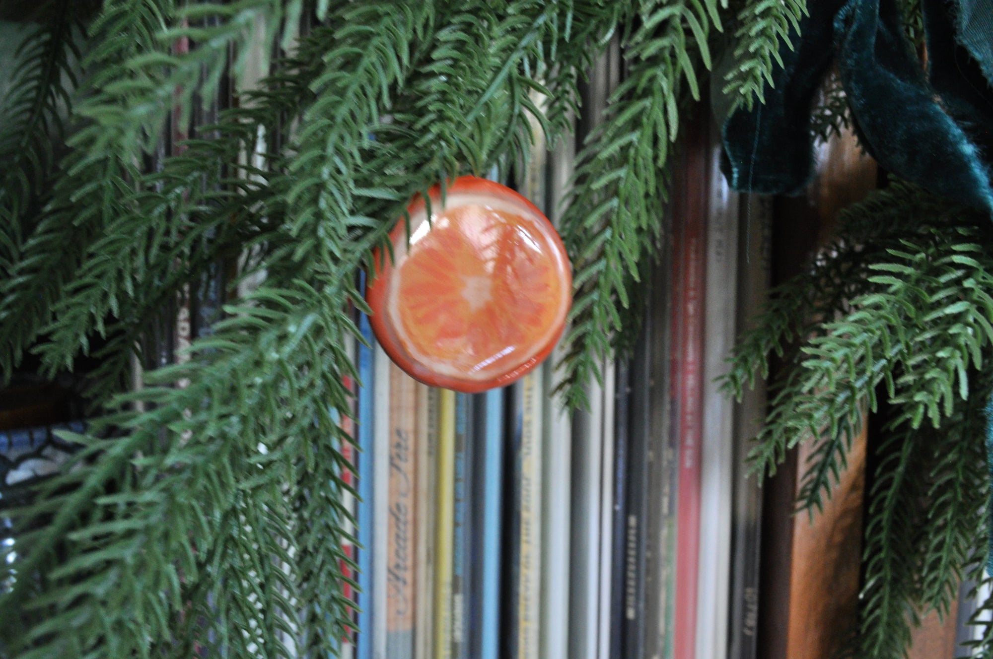 Orange Slice Pine Garland